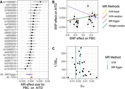 The Causal Effects of Primary Biliary Cholangitis on Thyroid Dysfunction: A Two-Sample Mendelian Randomization Study